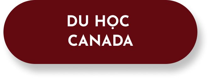 WIS EDU – Tiếng Anh Online, Trại hè quốc tế, Du học