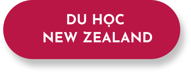 WIS EDU – Tiếng Anh Online, Trại hè quốc tế, Du học