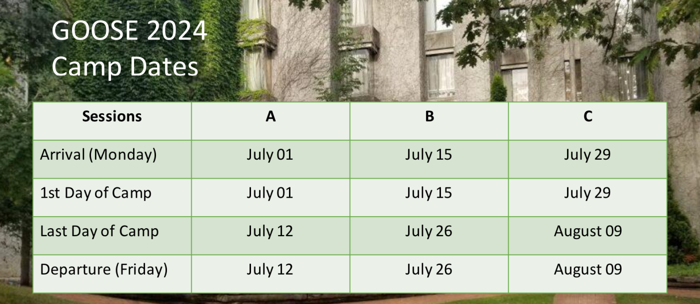 WIS EDU – Tiếng Anh Online, Trại hè quốc tế, Du học