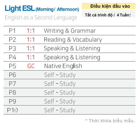 WIS EDU – Tiếng Anh Online, Trại hè quốc tế, Du học