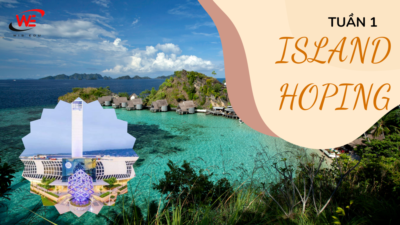 WIS EDU – Tiếng Anh Online, Trại hè quốc tế, Du học