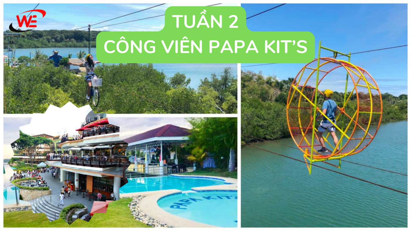 WIS EDU – Tiếng Anh Online, Trại hè quốc tế, Du học