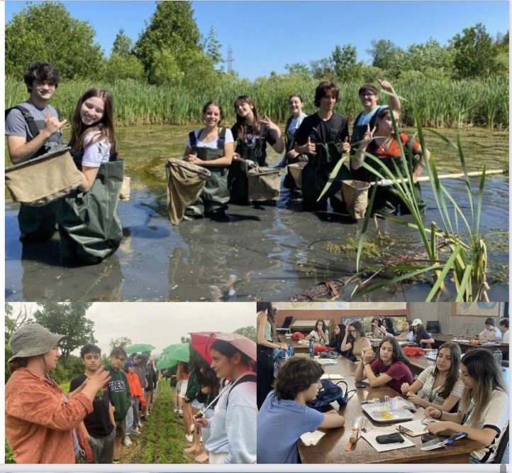 WIS EDU – Tiếng Anh Online, Trại hè quốc tế, Du học