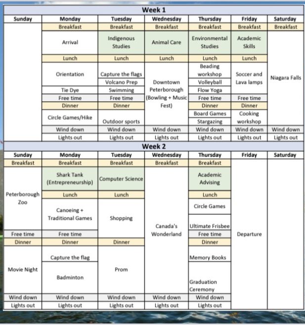 WIS EDU – Tiếng Anh Online, Trại hè quốc tế, Du học