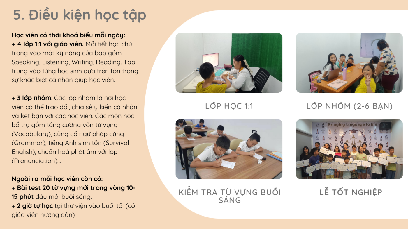 WIS EDU – Tiếng Anh Online, Trại hè quốc tế, Du học