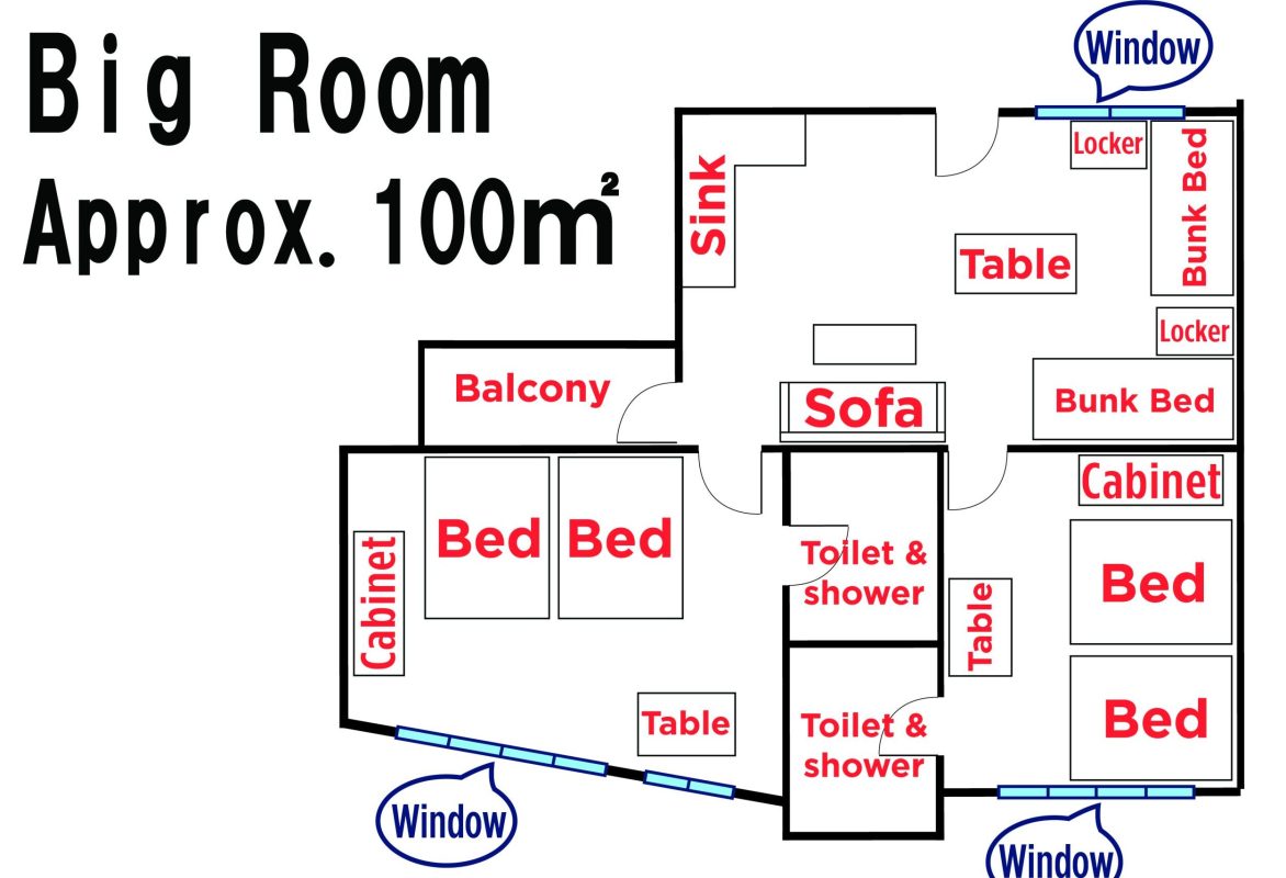 WIS EDU – Tiếng Anh Online, Trại hè quốc tế, Du học