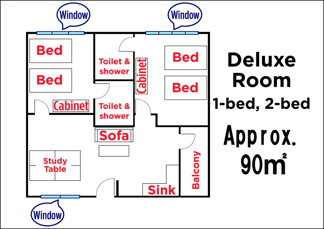 WIS EDU – Tiếng Anh Online, Trại hè quốc tế, Du học