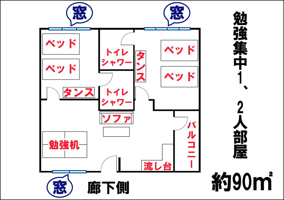 WIS EDU – Tiếng Anh Online, Trại hè quốc tế, Du học