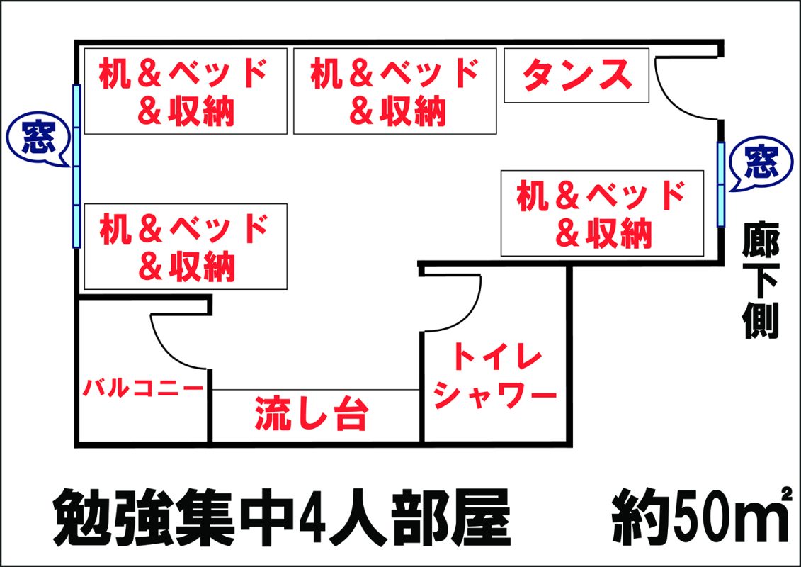 WIS EDU – Tiếng Anh Online, Trại hè quốc tế, Du học