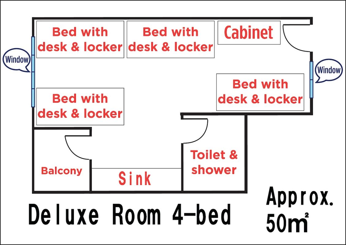WIS EDU – Tiếng Anh Online, Trại hè quốc tế, Du học