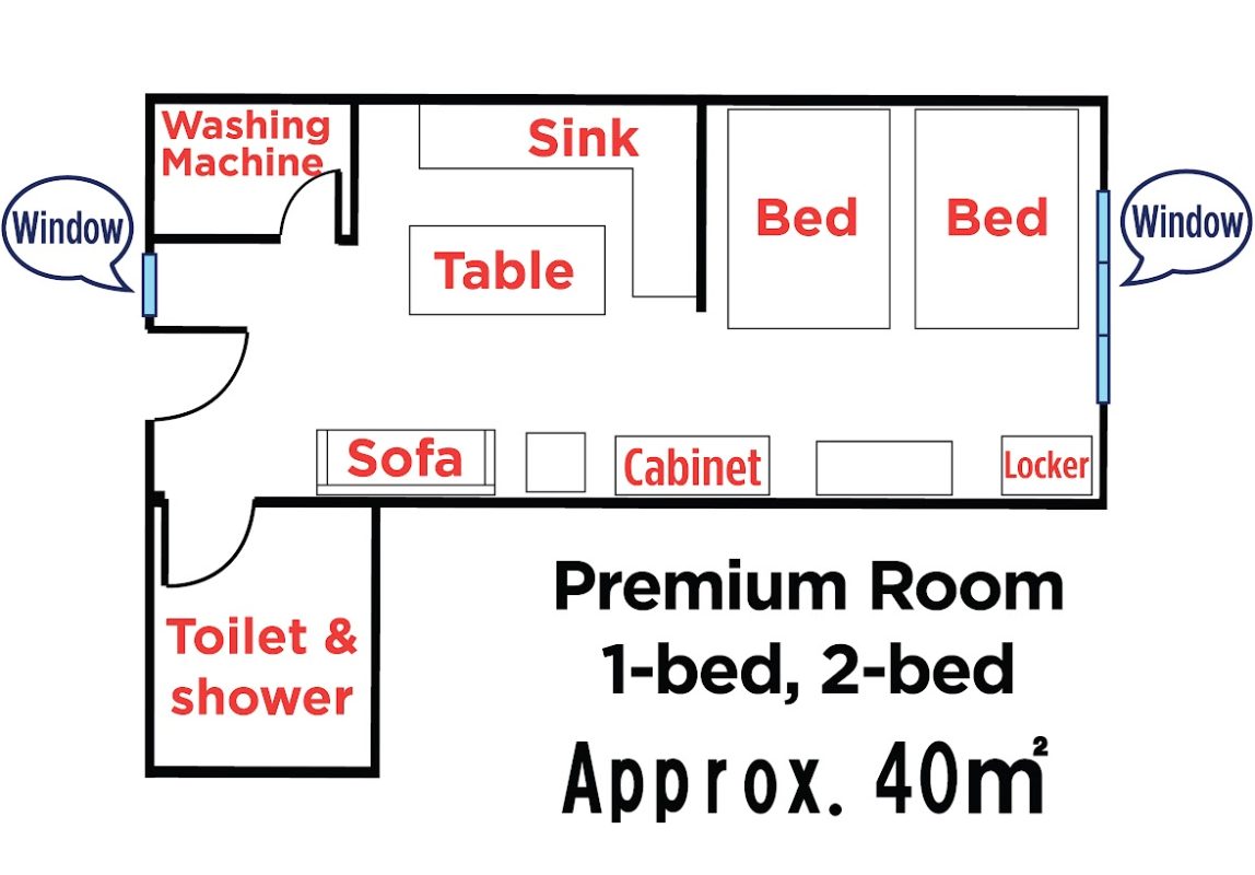 WIS EDU – Tiếng Anh Online, Trại hè quốc tế, Du học