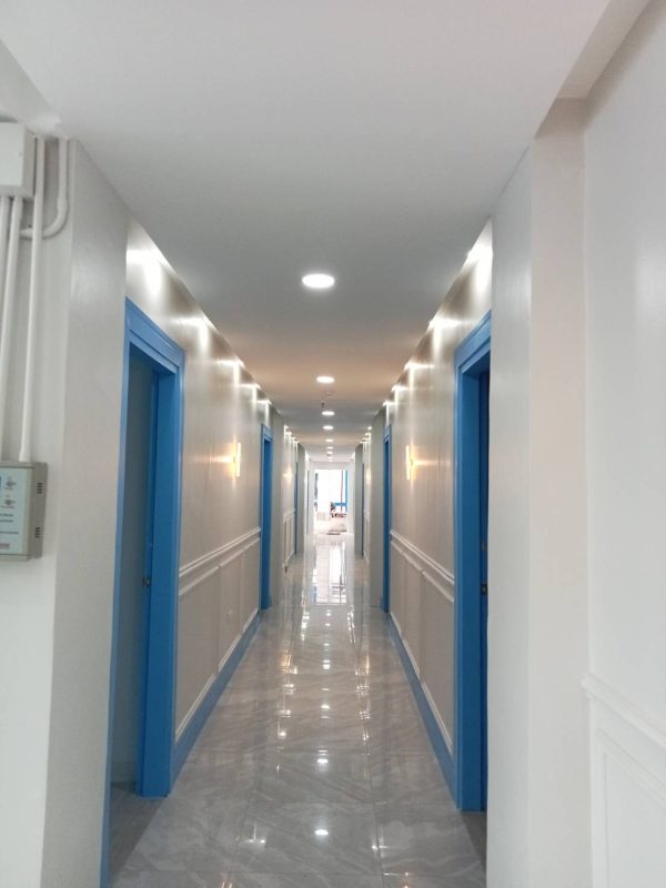 WIS EDU – Tiếng Anh Online, Trại hè quốc tế, Du học