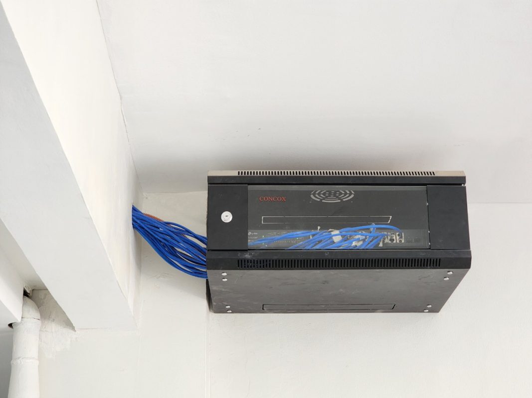 WIS EDU – Tiếng Anh Online, Trại hè quốc tế, Du học