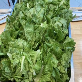 z4454591637073_bbffc1d8d5f25cda0e70d1f93e531d20