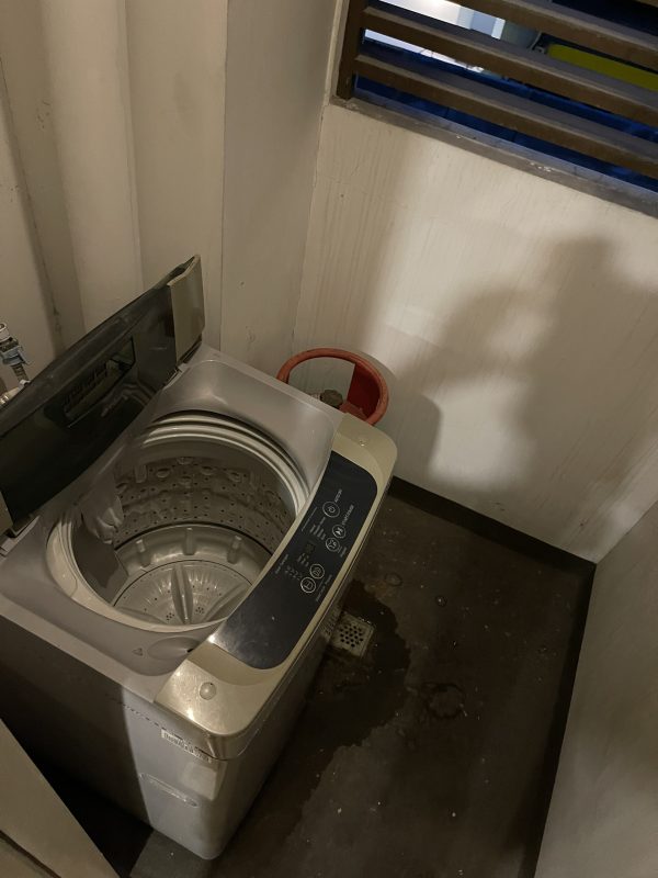 WIS EDU – Tiếng Anh Online, Trại hè quốc tế, Du học